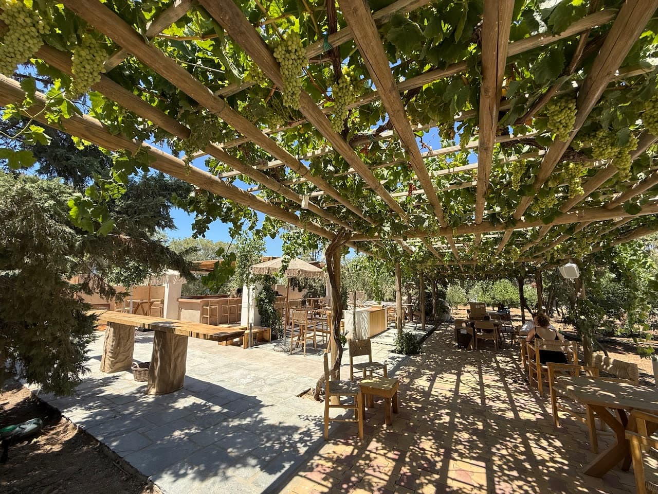 Vine-covered pergola round dining table